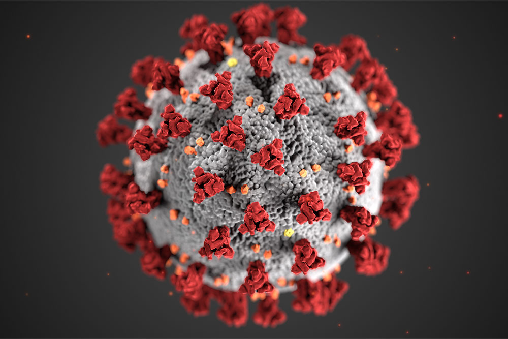 This illustration, created at the Centers for Disease Control and Prevention (CDC), reveals ultrastructural morphology exhibited by coronaviruses.